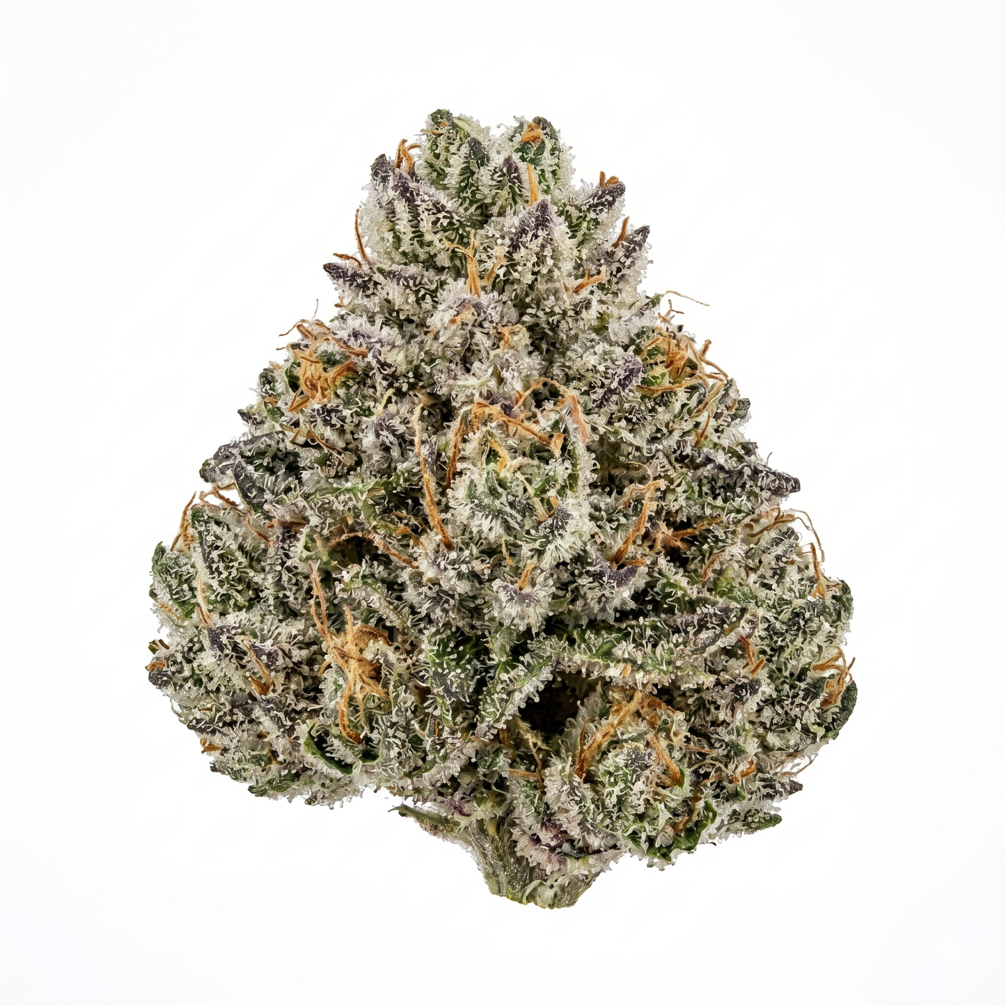 Fleur Californienne CBD 16% đ "Candy Kush"