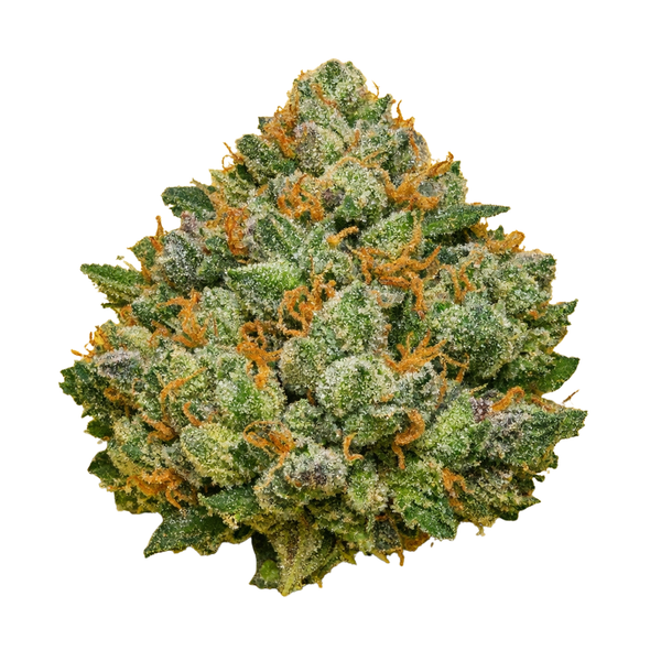 Fleur 14% CBD Classique 🍊 "Orange Bud"
