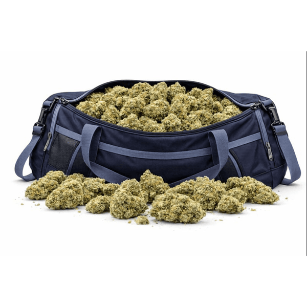 Fleur CBD 🌴 "Los Angeles Californienne" - hover