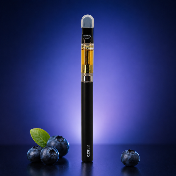 Puff CBC 90% 💨 Blueberry