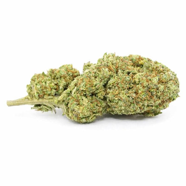 Fleur CBD – White widow