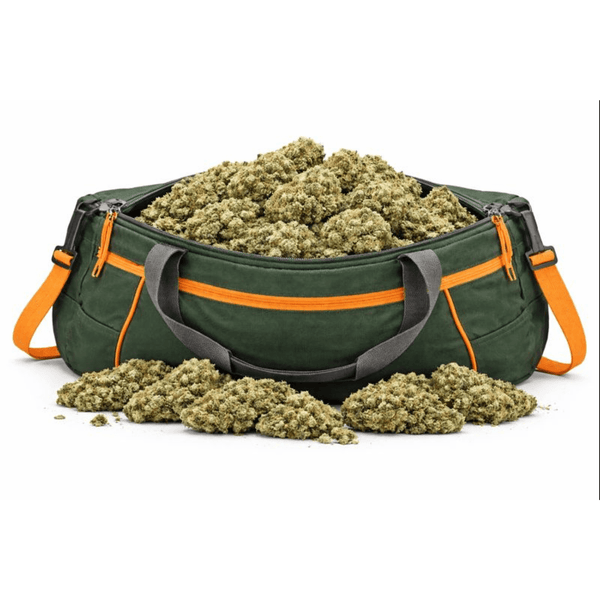 Fleur CBD ⚡ "Amnesia Californienne" - hover