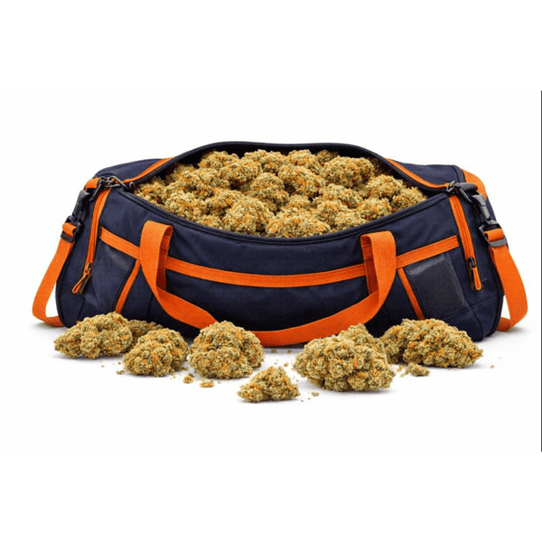 Fleur CBD 🍊 "Orange Bud" - hover