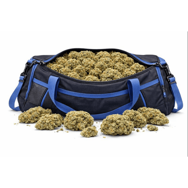 Fleur THV (THCV) Cali 🌲 "OG kush" - hover