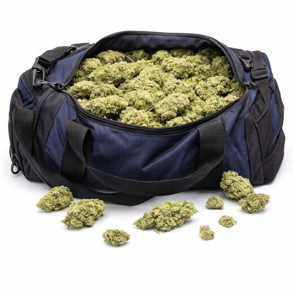 Fleur CBD – White widow - hover