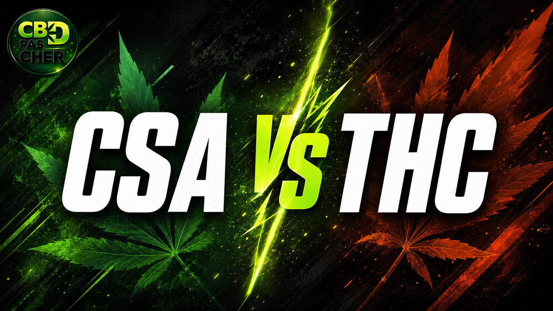 CSA vs THC : découvrez ce que désigne réellement le CSA-14