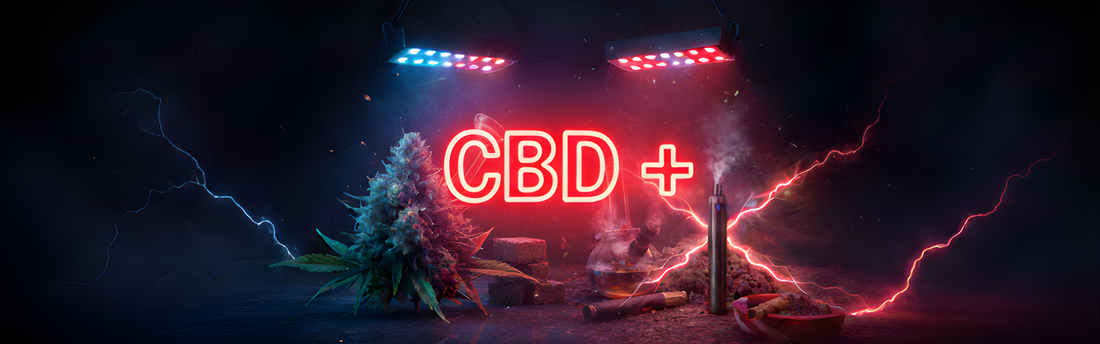 🔥 Quel est le CBD le Plus Puissant à Fumer ? Moonrock, Résine et Fleur CBD+ Comparés