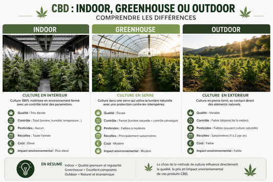 CBD Indoor, Greenhouse ou Outdoor ?