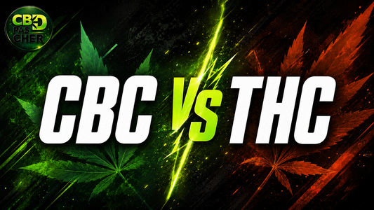 CBC vs THC : différences, effets et légalité en 2026