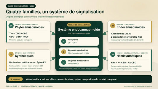 Schéma des quatre familles de cannabinoïdes et du système endocannabinoïde