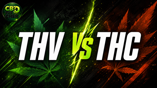 THV vs THC : différences, effets et légalité 2026