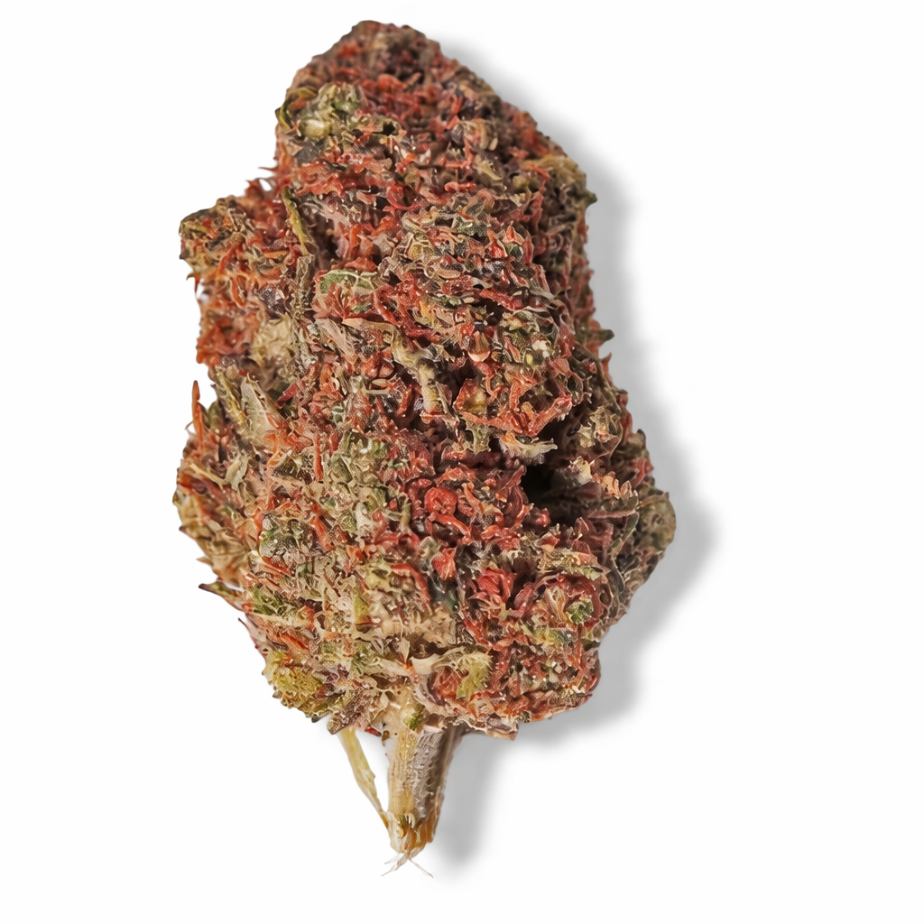 Fleur CBD française "Blueberry Cryo" – Bretagne 🇫🇷 aux couleurs naturelles, issue des collections CBD Naturel, Fleurs CBD, Nos Fleurs Classiques.