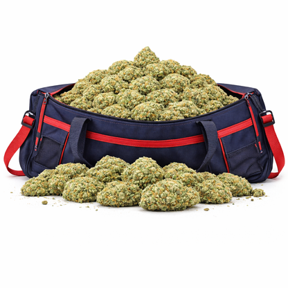 Fleur 20% CSA " Strawberry CSA" en vrac dans un sac de sport bleu, idéale pour Nos promos et Get High à Caen.