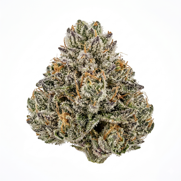 Fleur Californienne CBD 16% 🍭 "Candy Kush"