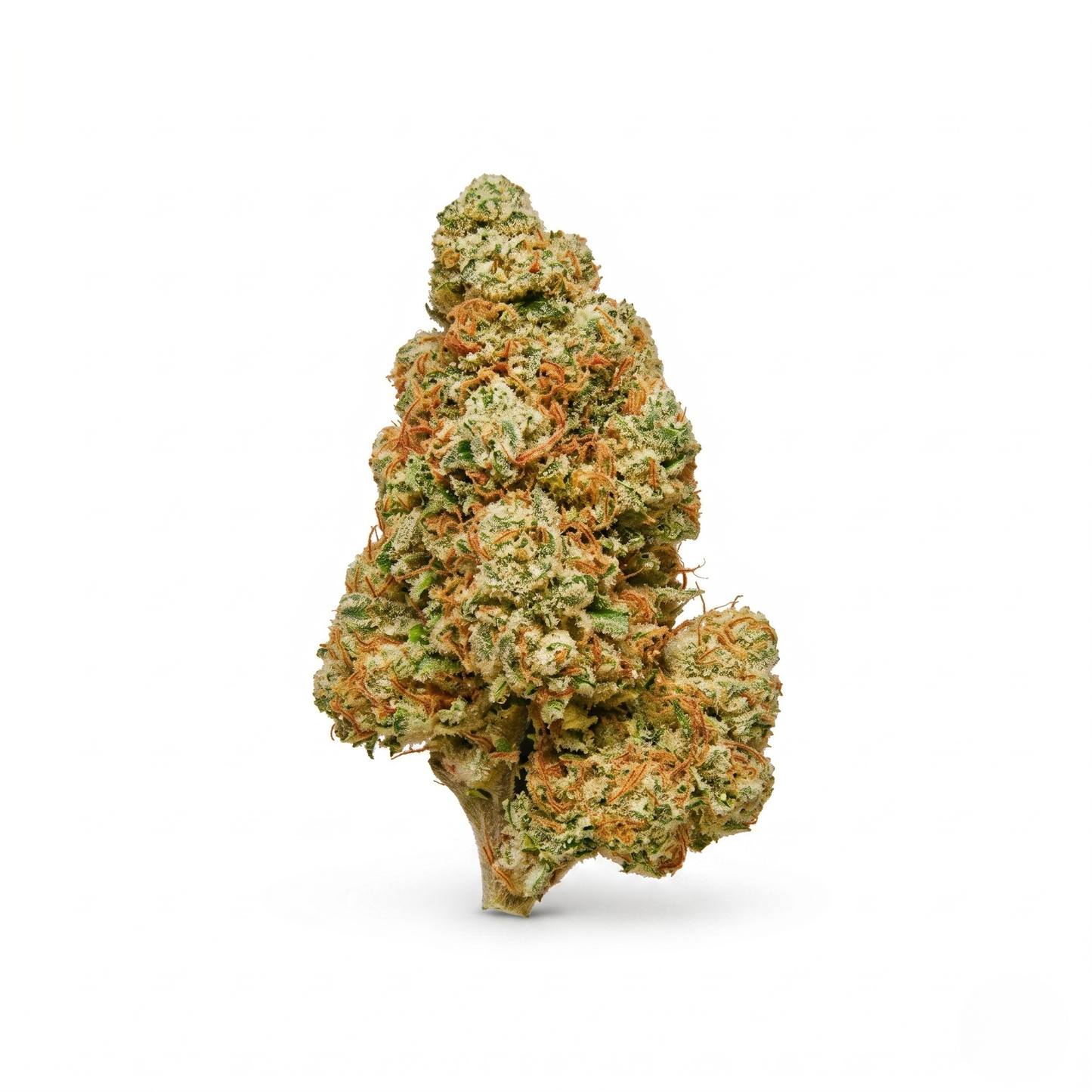 Fleur Californienne CBD 🏙️  "New York"