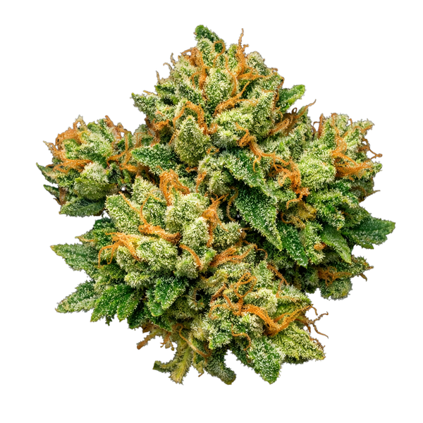 Fleur 18% CBD Cali 🍋 "Sour Cream"