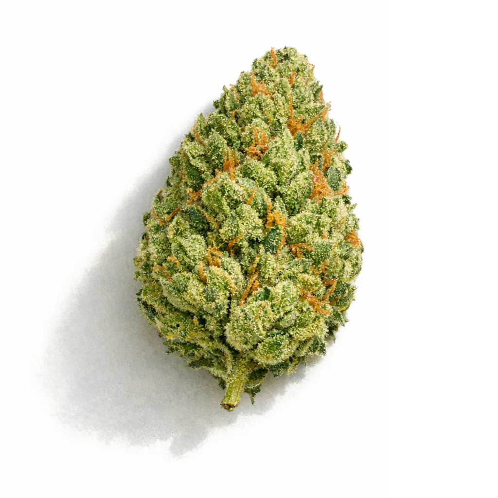 Fleur CBD 🍓 "Critical Berry"