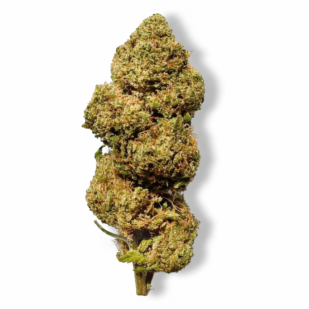 Bourgeon de Fleur CBD+ 50% "Super Skunk" présenté dans la collection Nos promos, bouquet dense et riche en trichomes.