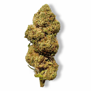 Bourgeon de Fleur CBD+ 50% "Super Skunk" présenté dans la collection Nos promos, bouquet dense et riche en trichomes.