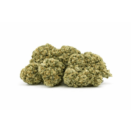 Fleur CBD "Gorilla Glue" en bouquets denses et résineux, incontournable des collections Fleurs CBD et CBD Naturel.