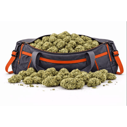 Sac de sport rempli de Fleur CBD "Gorilla Glue" de qualité, idéale pour les amateurs de Fleurs CBD et CBD Naturel.