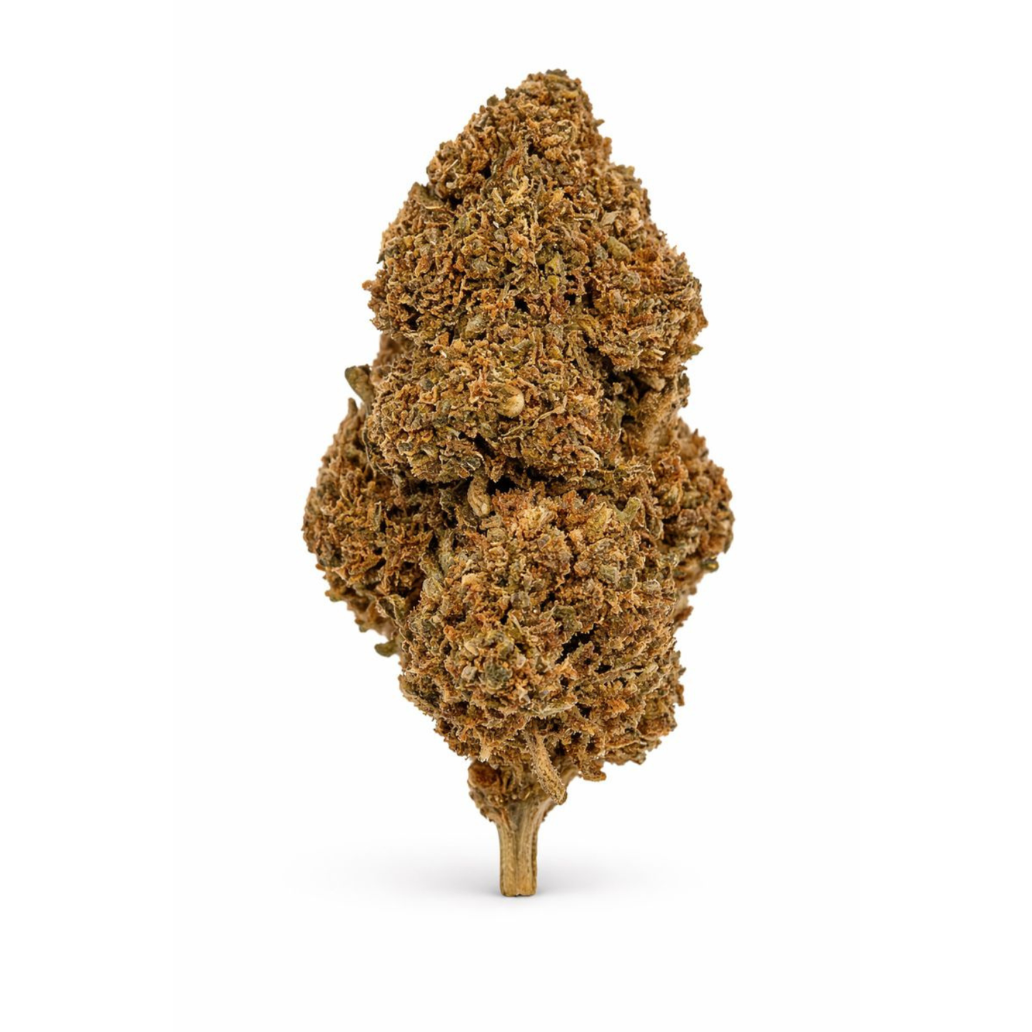 Fleur CBD 🍒 "Harlequin"