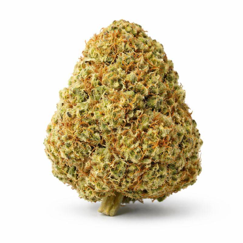 Fleur CBD Naturel "Raspberry CBD", fleur fruitée à la framboise, issue des collections CBD Naturel et Fleurs CBD.