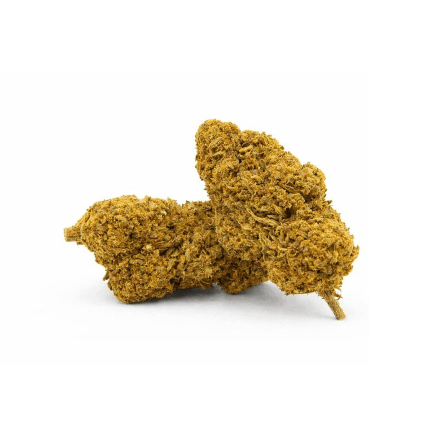 Fleur CBD - Tangie tonic, fleurs CBD naturel au goût tangerine, disponible dans la collection Nos Petits Prix.