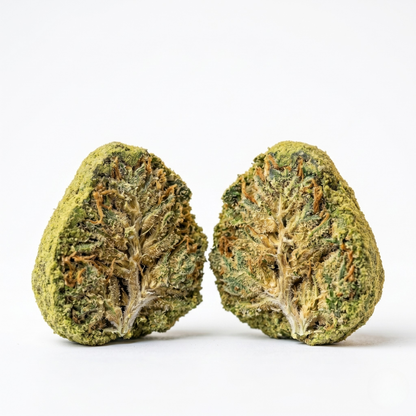 Photo produit d'une fleur de Moonrock CBD puissant coupée en deux sur fond blanc, révélant sa composition interne. La vue en coupe transversale montre le cœur de la tête de chanvre compacte, infusée de résine de CBD ambrée et enveloppée d'une couche dense de pollen ou kief vert clair. Visuel e-commerce pour l'achat du meilleur Moonrock CBD pas cher.