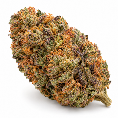 Fleur CBD Blood Orange Diesel Californienne