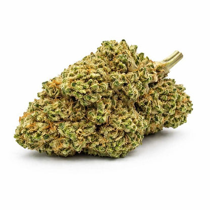 Fleur CBD "Blueberry" avec ses têtes denses aux arômes fruités, idéale pour les amateurs de Fleurs CBD et CBD Naturel.