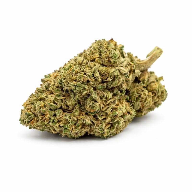 Fleur CBD+ "Buddha fruit", variété aux arômes fruités, idéale pour détente légère, disponible en boutique CBD à Caen.