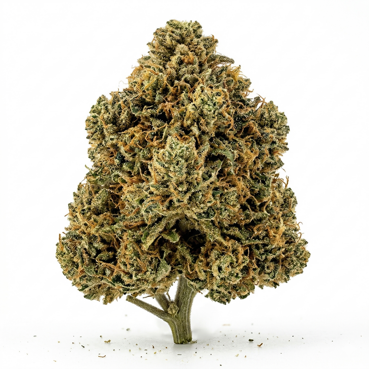 Fleur CBD+ Orange Bud 18-22% – bud séché aux arômes d'agrumes fruités, riche en terpènes, culture indoor premium disponible en vrac – CBD Pas Cher 14 Caen