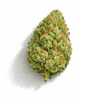 Gros plan bud conique de fleur CBD Critical Berry indoor premium sur fond blanc avec ombre portee douce. Bourgeon dense aux teintes vert clair et jaune-vert lumineux, abondamment recouvert de trichomes cristallises blancs givres. Pistils orange roux distribues uniformement sur toute la surface du calice. Structure serree et compacte caracteristique de la variete. Profil aromatique fruits rouges. Achat fleur CBD Critical Berry indoor pas cher livraison rapide France – CBD Pas Cher 14.