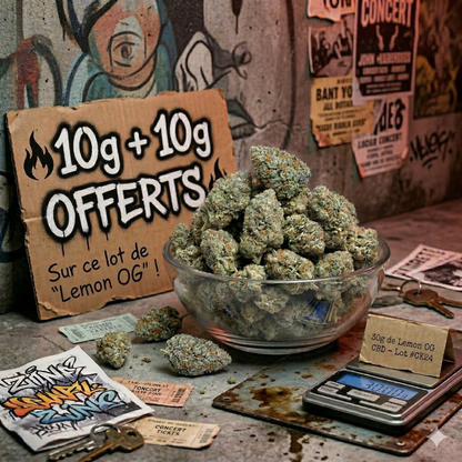 Banniere promo fleur CBD Lemon OG 12-16% buds verts denses et cristallises aux aromes citron et agrumes entasses dans un bol en verre transparent pose sur une balance numerique noire. Pancarte carton manuscrite 10g + 10g OFFERTS sur ce lot de Lemon OG avec flammes decoratives. Etiquette visible 30g de Lemon OG CBD Lot #0K24 au premier plan. Tickets de concert, cles et graffitis street-art en arriere-plan. Achat fleur CBD pas cher livraison rapide France CBD Pas Cher 14.