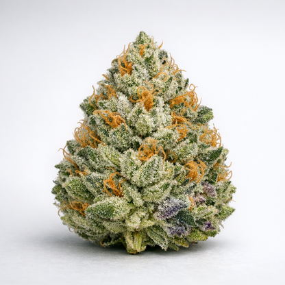 Gros plan unique d'un bud conique de fleur CBD Lemon OG 12-16% sur fond gris clair epure. Structure dense et compacte en forme de cone, entierement recouverte de trichomes cristallises givres blanc eclatant. Pistils orange vif enroules en spirale sur toute la surface. Reflets violaces visibles a la base du bud. Profil terpenes citron intense. Achat fleur CBD Lemon OG indoor premium trichomes givre pas cher livraison rapide – CBD Pas Cher 14.