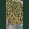 Video produit fleur CBD Super Skunk : vue aerienne macro d'une grande quantite de buds CBD Super Skunk verts denses couverts de trichomes dores et blancs visibles dans un sachet plastique transparent sur fond vert fonce, suivie d'un gros plan d'une main gantee en latex noir tenant et inspectant un bud CBD Super Skunk de taille moyenne dense et collant avec pistils oranges et trichomes cristallises bien visibles. Fleur CBD Super Skunk indoor legal taux THC inferieur a 0,3%, achat fleur CBD puissante pas cher