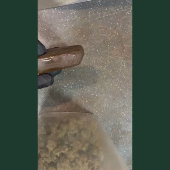 Video de presentation du Charas CBD CSA, gros plan sur bloc de charas CBD brun fonce brillant tenu par main gantee noire sur fond de pollen kief dore scintillant au premier plan, puis gros plan sur morceau de charas CBD casse revelant interieur brun dore a texture granuleuse et collante, resine CBD artisanale facon charas, produit CBD legal France taux THC inferieur a 0,3%, charas CBD puissant disponible a l'achat sur cbdpaschre14.fr