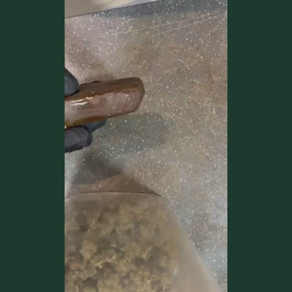 Video de presentation du Charas CBD CSA, gros plan sur bloc de charas CBD brun fonce brillant tenu par main gantee noire sur fond de pollen kief dore scintillant au premier plan, puis gros plan sur morceau de charas CBD casse revelant interieur brun dore a texture granuleuse et collante, resine CBD artisanale facon charas, produit CBD legal France taux THC inferieur a 0,3%, charas CBD puissant disponible a l'achat sur cbdpaschre14.fr