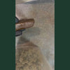 Video de presentation du Charas CBD CSA, gros plan sur bloc de charas CBD brun fonce brillant tenu par main gantee noire sur fond de pollen kief dore scintillant au premier plan, puis gros plan sur morceau de charas CBD casse revelant interieur brun dore a texture granuleuse et collante, resine CBD artisanale facon charas, produit CBD legal France taux THC inferieur a 0,3%, charas CBD puissant disponible a l'achat sur cbdpaschre14.fr