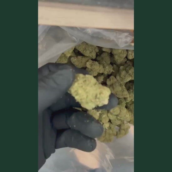 Video de presentation de la fleur CBD Super Special Sauce, main gantee noire tenant un gros bourgeon de fleur CBD de couleur jaune doree et verte tres charge en trichomes cristallises au premier plan, sachet plastique transparent rempli de nombreux bourgeons de fleurs CBD vert kaki en vrac visible en arriere-plan, texture dense et resineuse, taux de CBD eleve, produit CBD legal France taux THC inferieur a 0,3%, fleur CBD Super Special Sauce puissante disponible a l'achat sur cbdpaschre14.fr