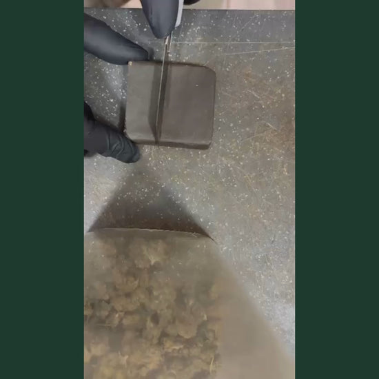 Video produit resine CBD Charras CSA2 : mains gantees de gants noirs manipulant un bloc de resine CBD compresse brun fonce. La video montre le produit sous plusieurs angles, puis le bloc brise en deux revelant un interieur texture doree et granuleuse. Fond vert, surface granuleuse au sol. Resine CBD artisanale haute concentration, legale moins de 0,3% THC, disponible a l achat en France.