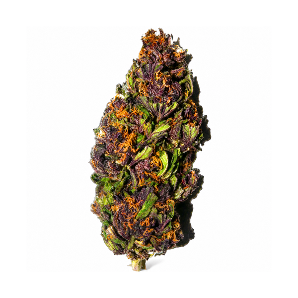 Fleur CSA 20% 💜 "PURPLE HAZE"